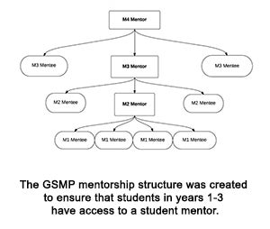 The GSMP mentorship structure was created to ensure that students in years 1-3 have access to a student mentor.