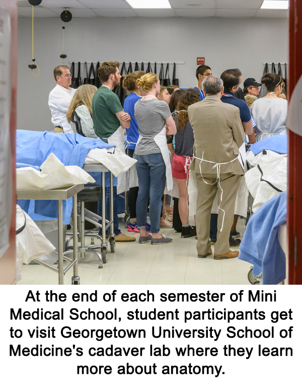 At the end of each semester of Mini Medical School, student participants get to visit Georgetown University School of Medicine's cadaver lab where they learn more about anatomy. 