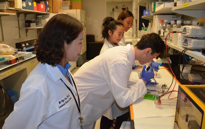 Students work in a lab while an instructor looks on