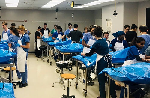 Groups of students in gross anatomy lab cluster around blue body bags containing cadavers