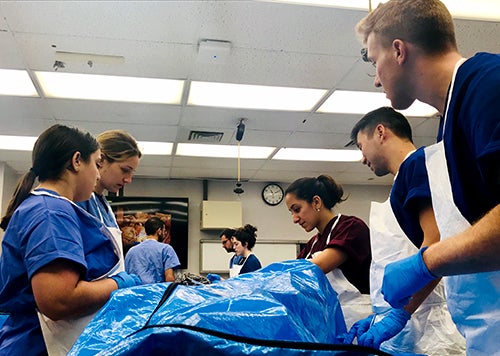 A small group of students looks down at a blue body bag