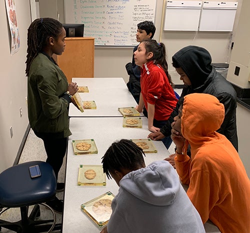 Students stand and sit at a table looking at cross sections of brains encased in plastic while a woman explains what they're seeing.