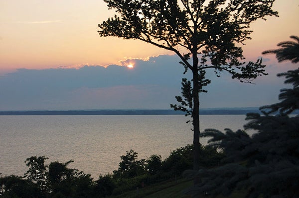 A sunset viewed over water with trees in the foreground