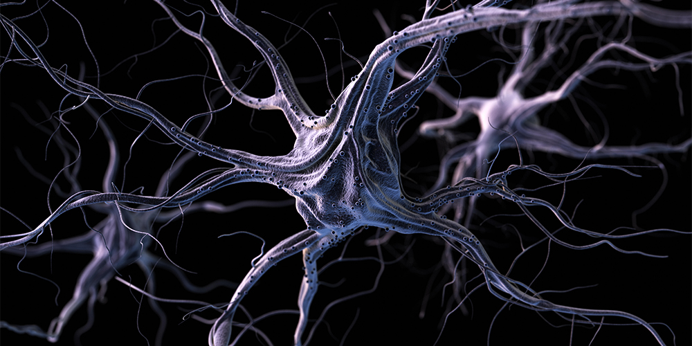 A photoillustration of a nerve cell against a black background