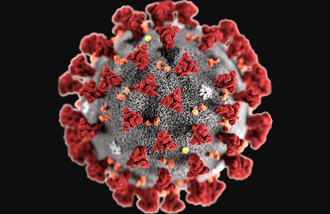 Coronavirus disease (COVID-19)