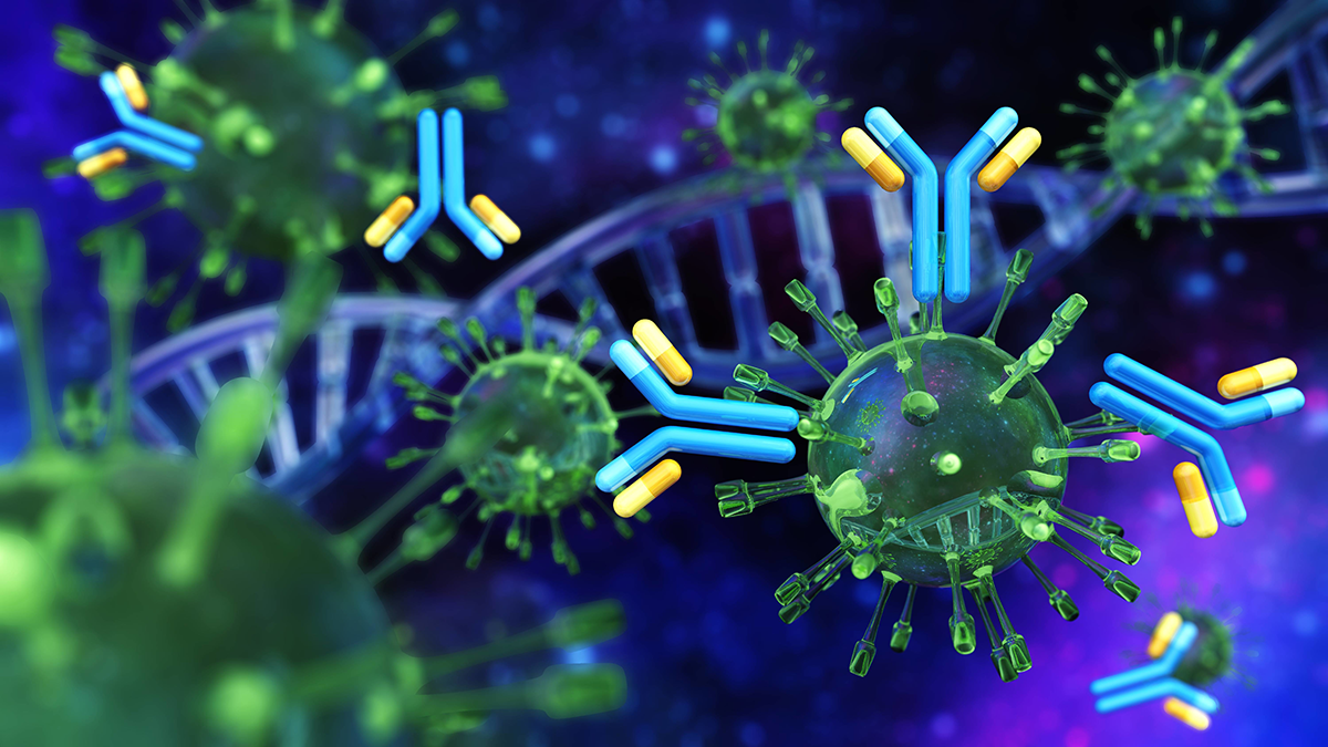 A computer illustration of the SARS CoV-2 virus particles with antibody symbols and DNA double helix