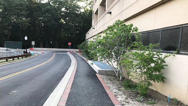 View of East-West Road running beside the New Research Building toward the edge of campus