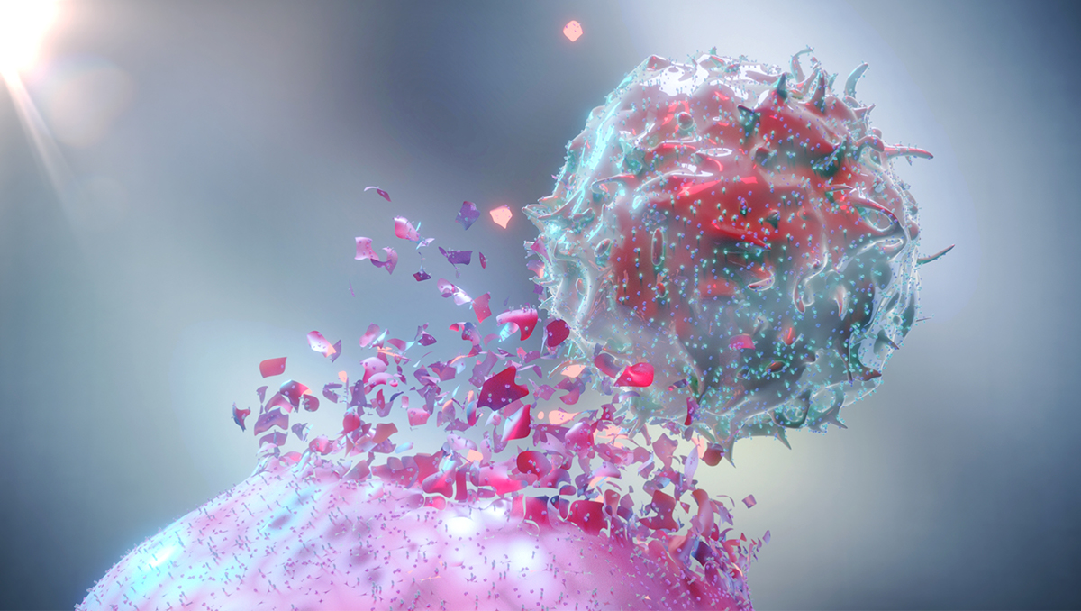 A photoillustration of a natural killer cell attacking a cancer cell