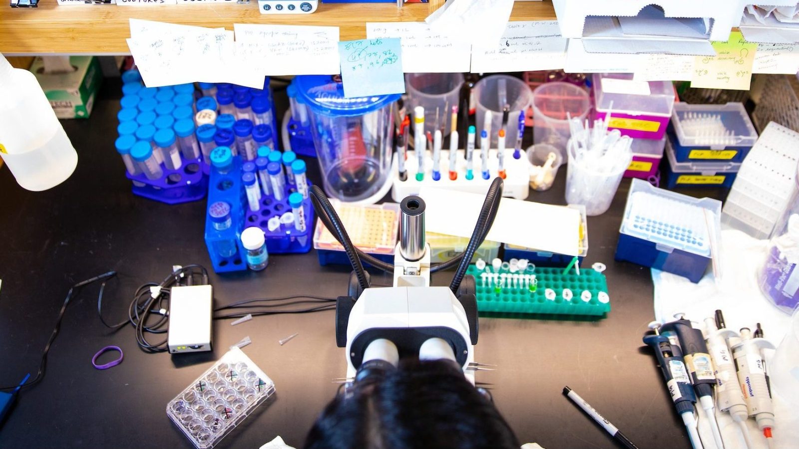 A lab table crowded with equipment including a microscope