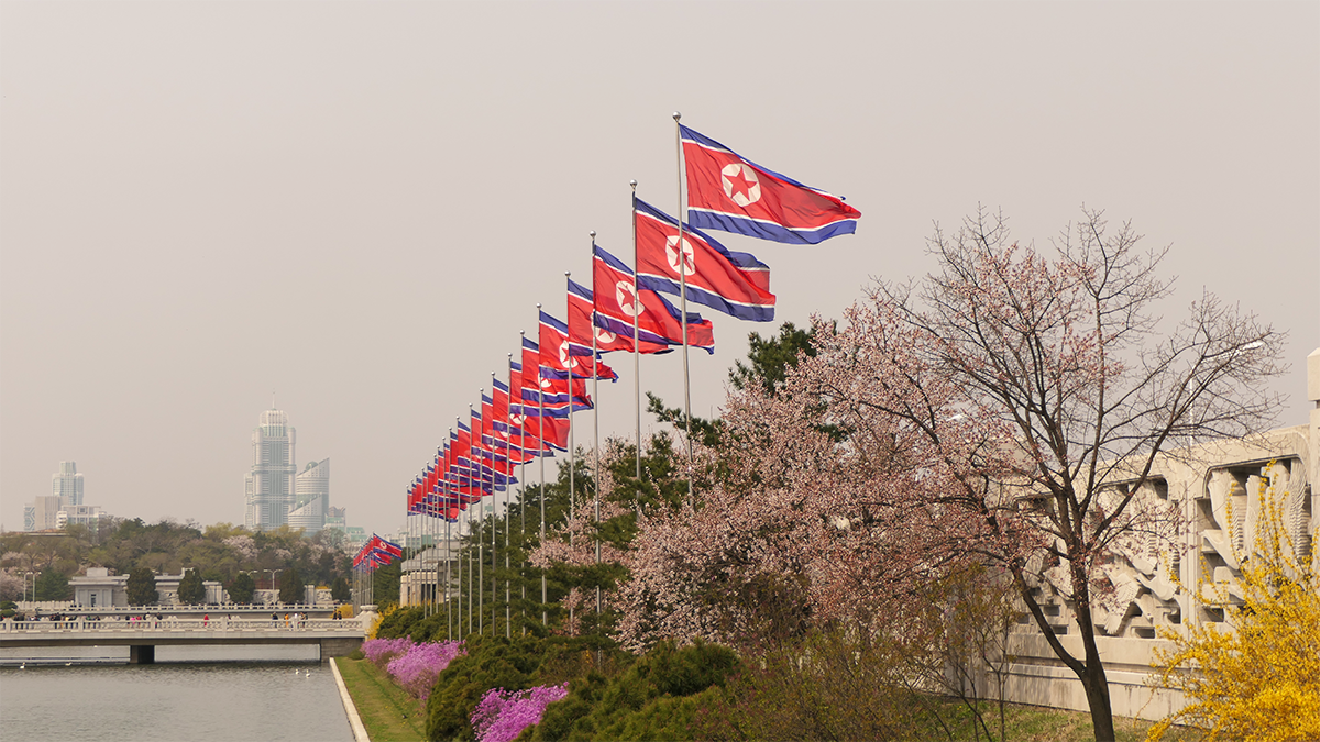 A shoreline lined with the flags of North Korea