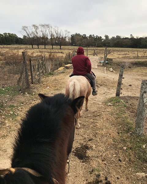 People ride horses