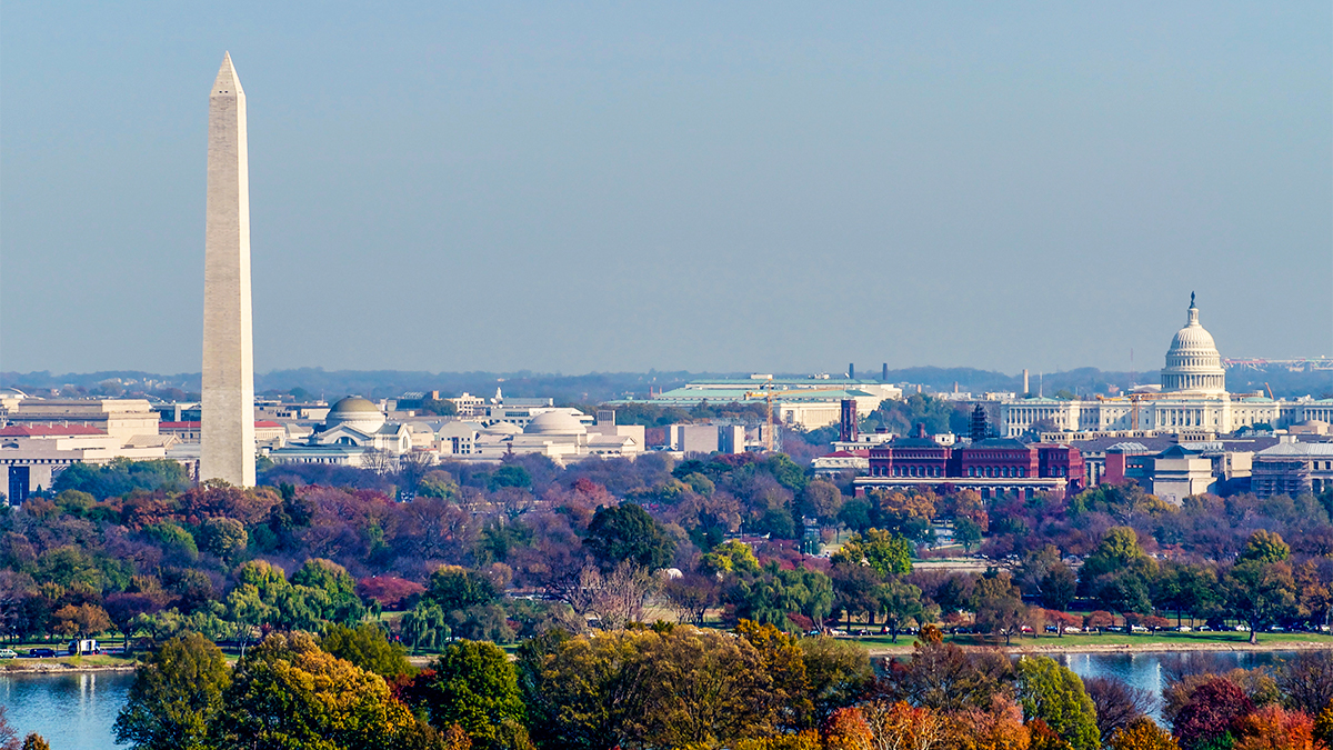 The Washington Monument and other icons of the DC city skyline