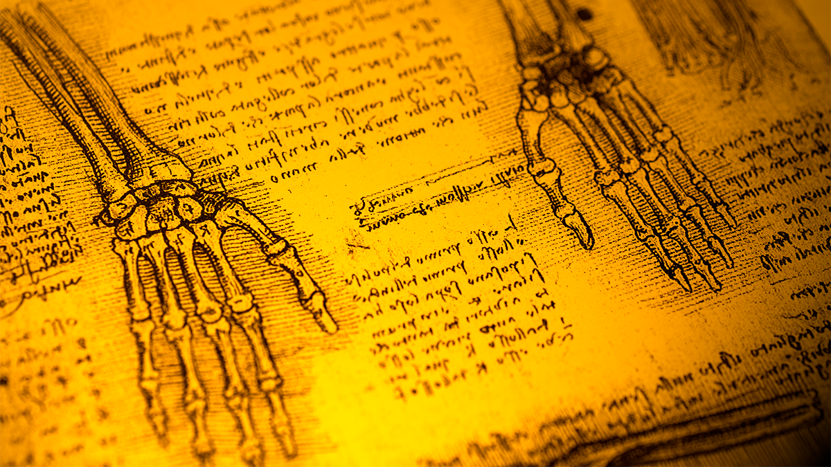 A closeup of a manuscript by Leonardo da Vinci depicting handwriting and the drawing of the bones of the hand and arm