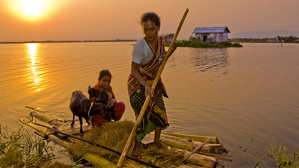 A woman guides a raft carrying a child and two goats through floodwaters in Bangladesh's Haor region