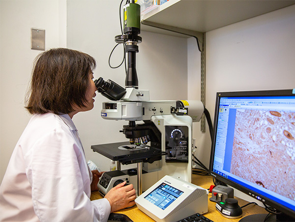 A researcher looks through a microscope while an image of what she's seeing appears on a screen next to her