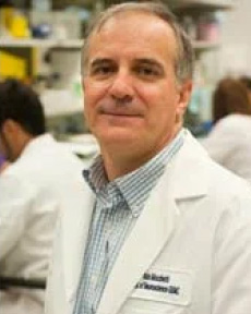 Italo Mocchetti in the lab
