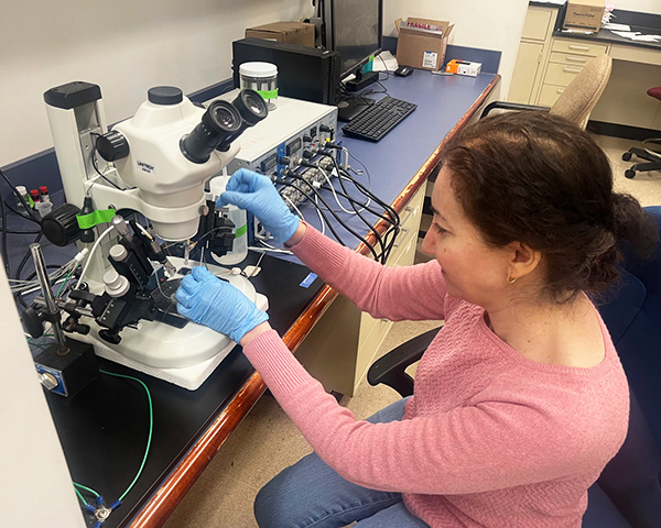 Dr. Brelidze works at a microscope