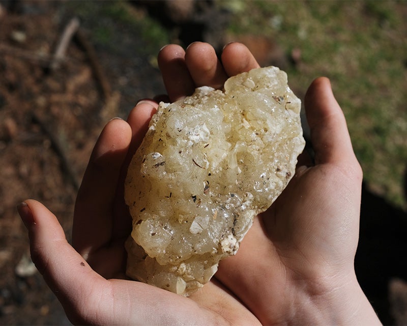 Hands hold copal