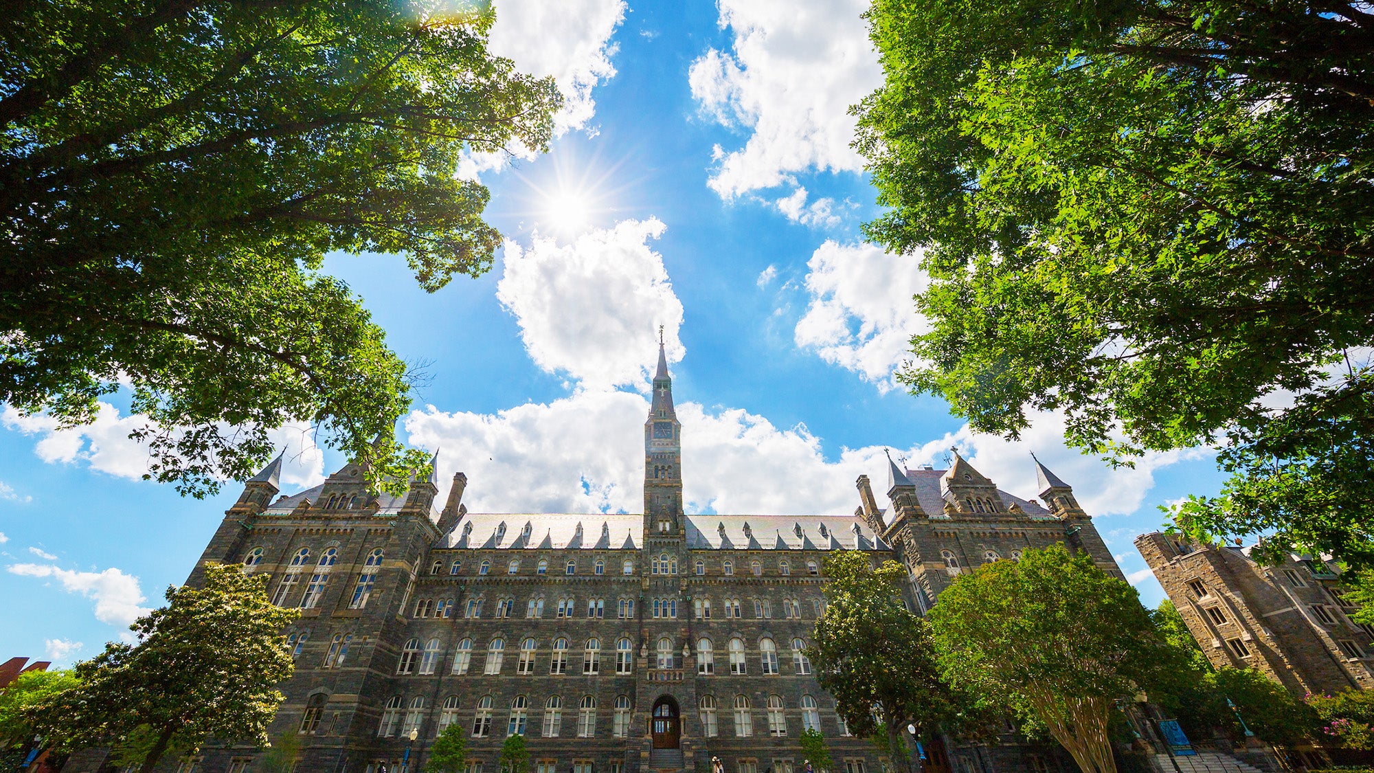 Healy Hall on a bright sunny day framed by trees