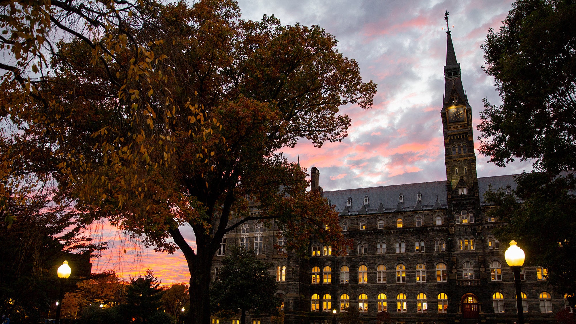 Healy Hall and trees silhouetted against a sunset