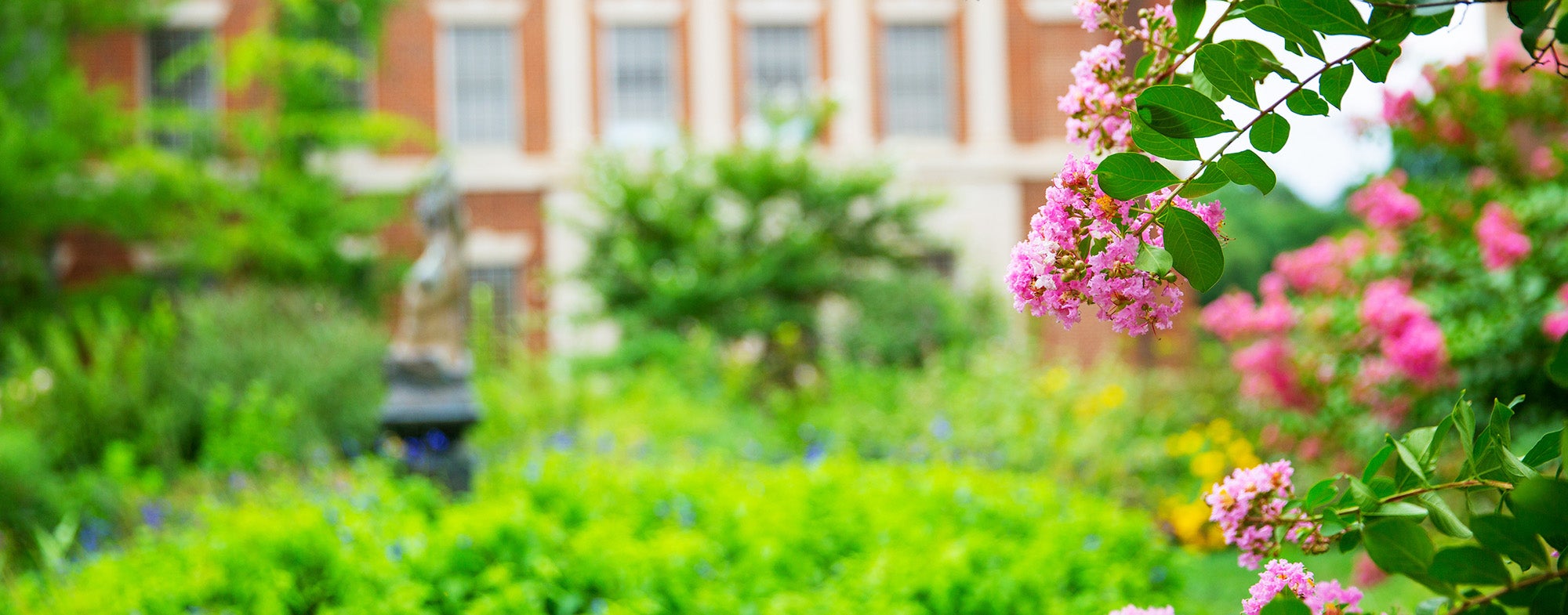 The Med-Dent Building framed in greenery and flowers