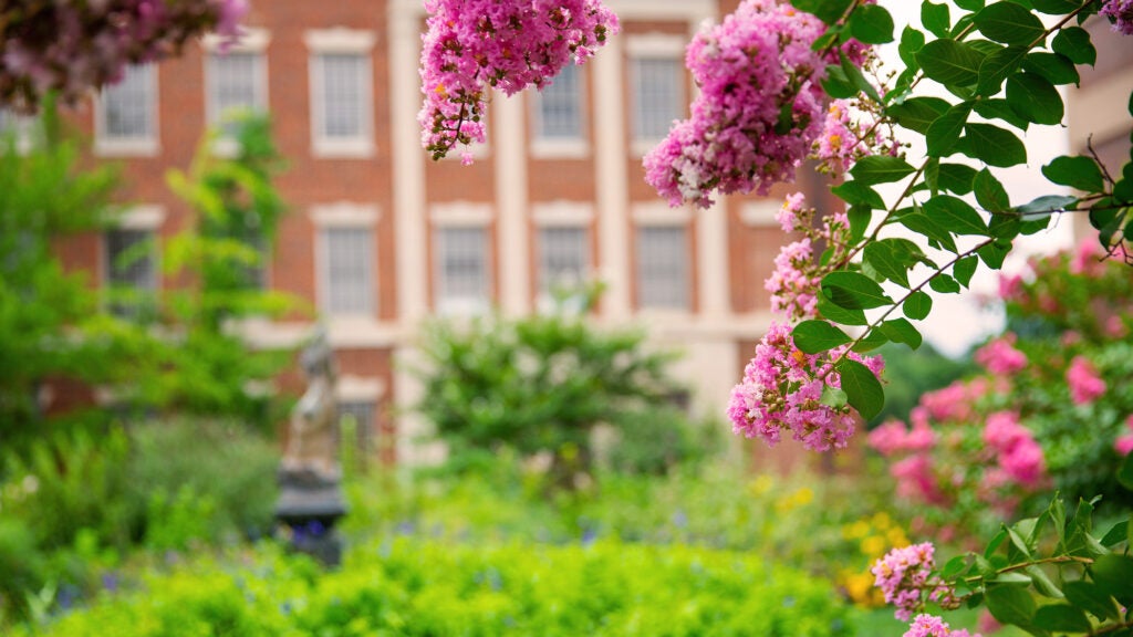 The Med-Dent Building framed with flowers and greenery