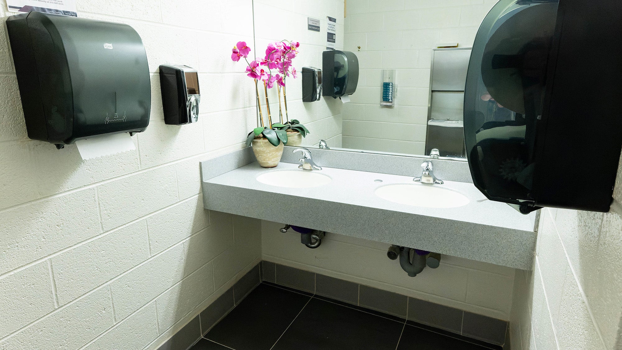 A bathroom sink with towel dispensers and an orchid for decoration