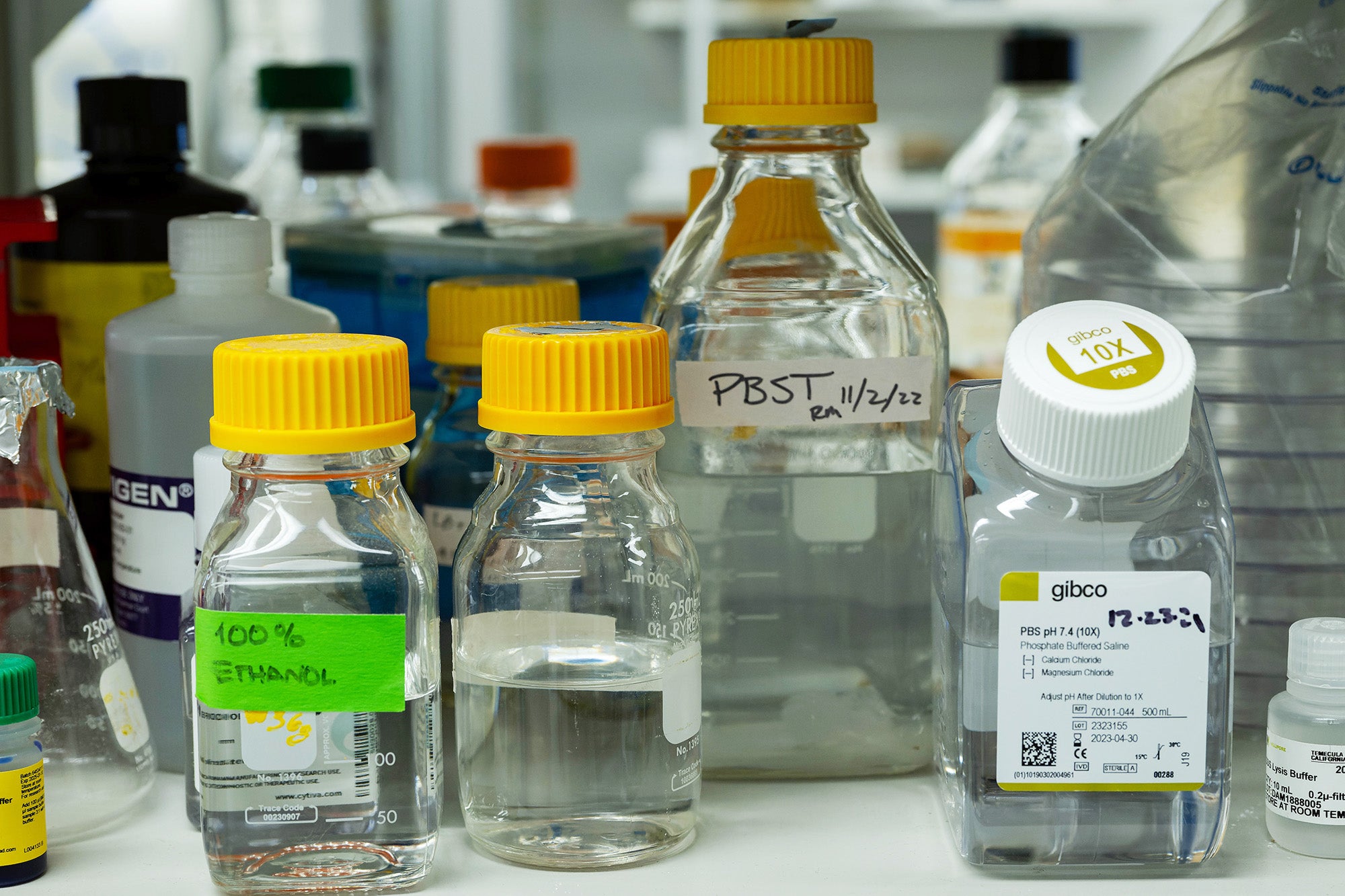 A closeup view of bottles on a shelf in a lab
