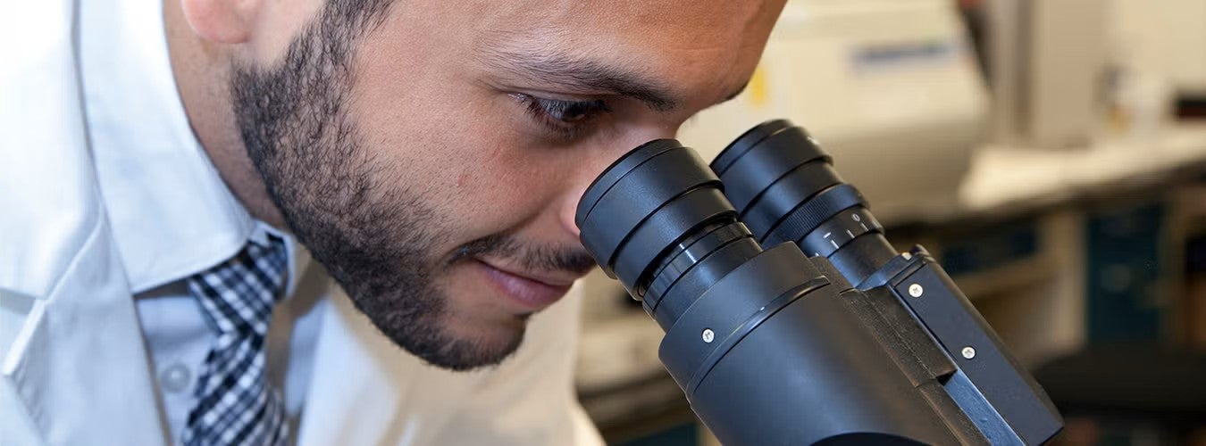 A male researcher looks through a stereomicroscope