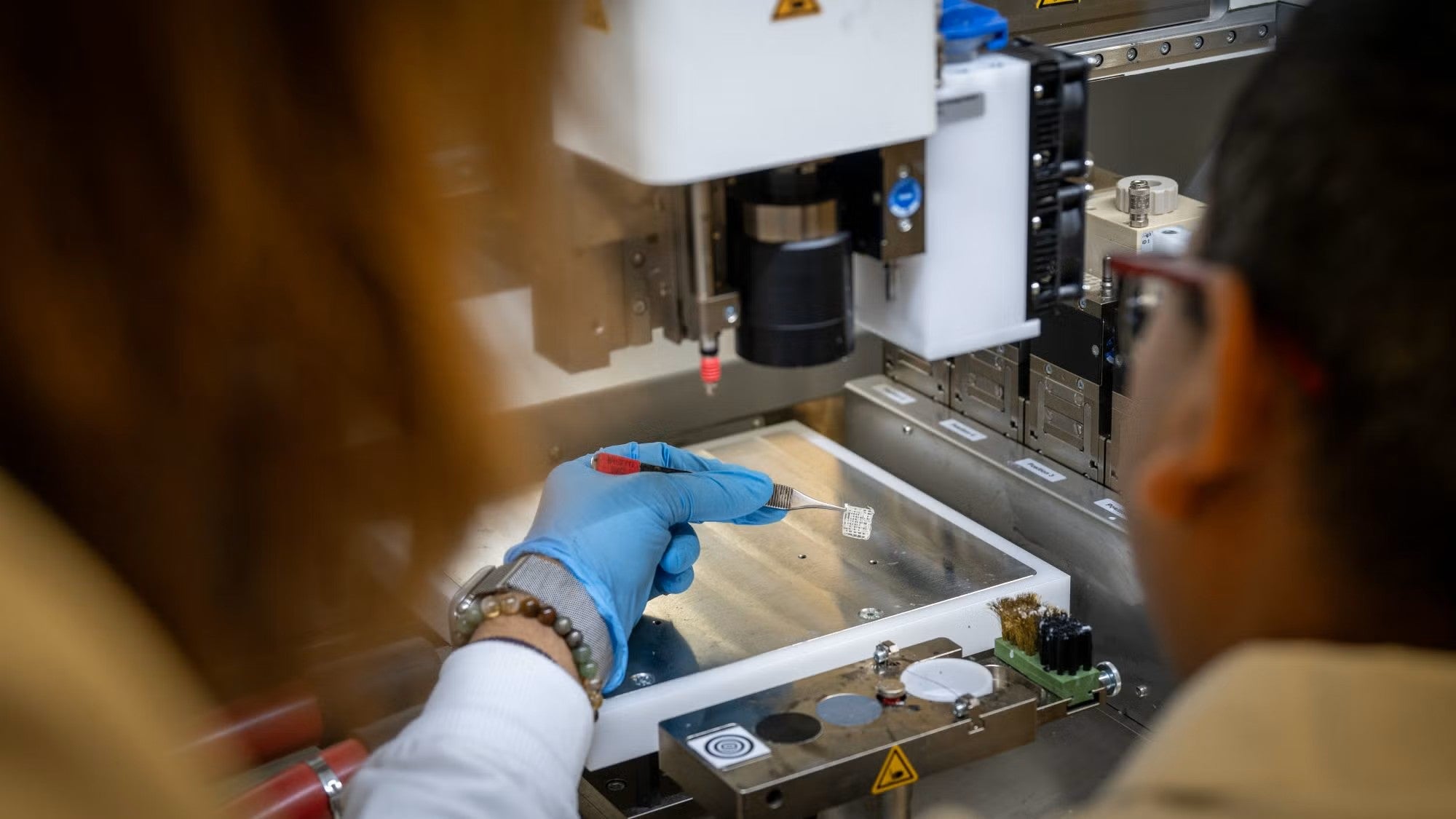 Dr. Alimperti and a graduate student examine a bone graft matrix