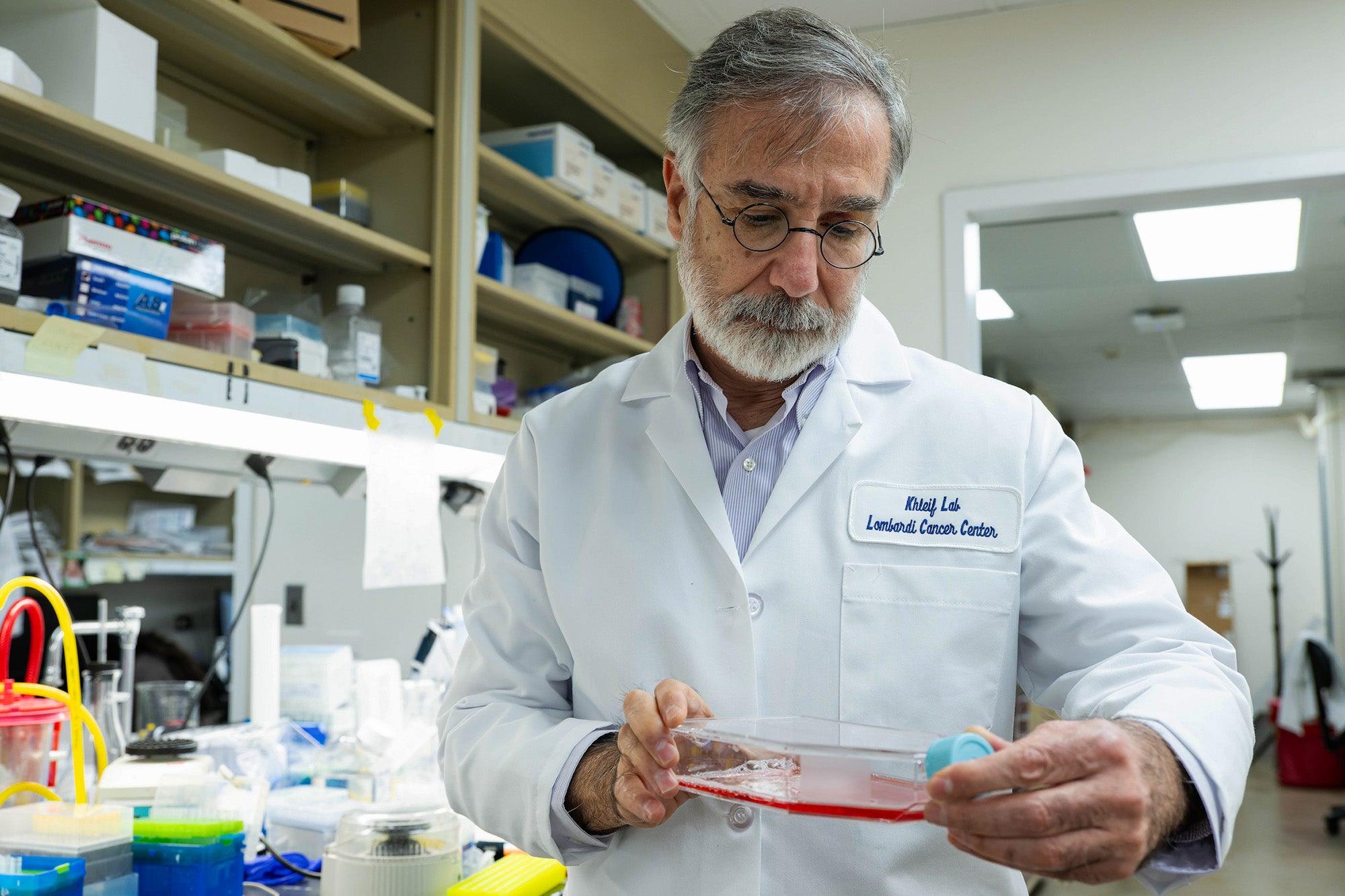 Dr. Khleif looks at a specimen in the lab