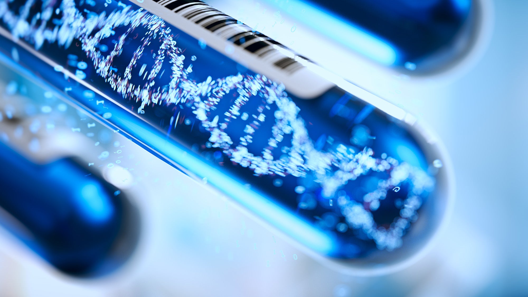 A photoillustration of DNA strands in test tubes