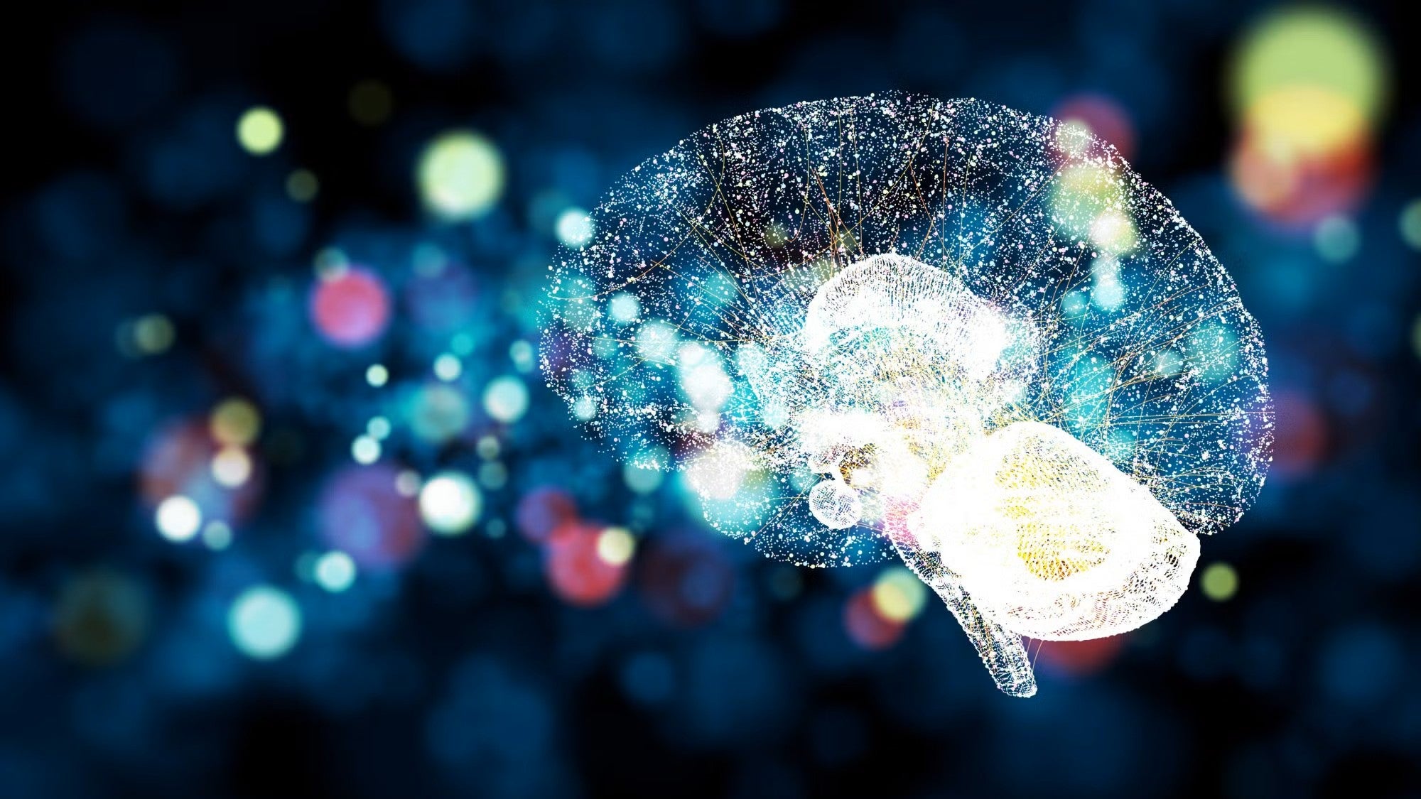 Illustration of a brain overlaid with colors and lines