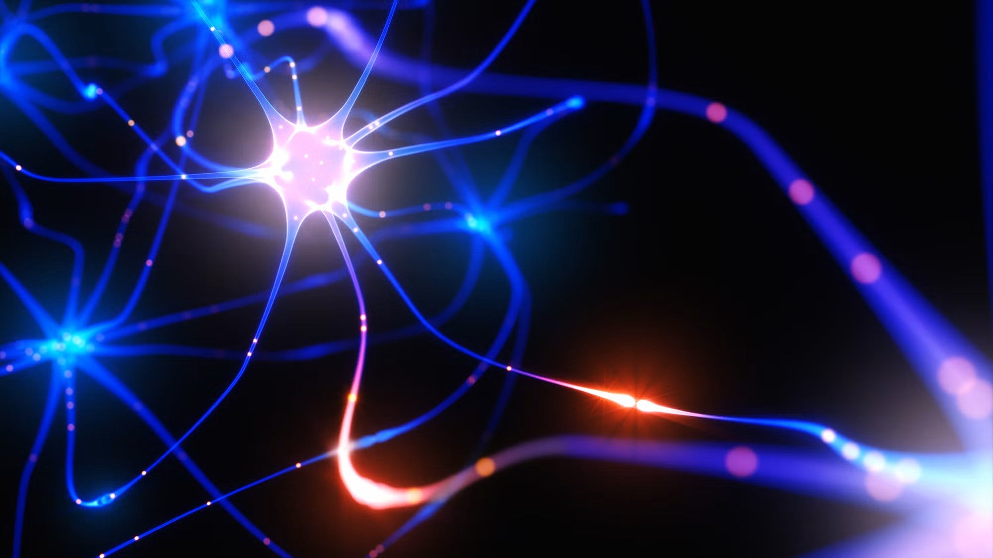 Photo-illustration of neurons